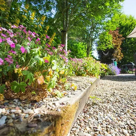 Terraced Houses Courtyard Garlow Cross Eir04048 Iyf Navan
